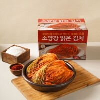 [소양강 맑은 김치] 국내산 배추 포기 보쌈 김장 김치 주문 강원도 1kg 3kg 5kg 10kg