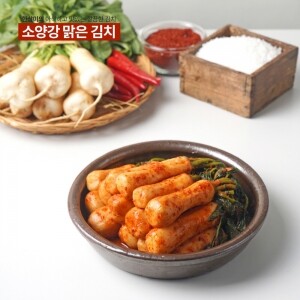 강원도 김치 소양강 맑은 김치 총각김치 500g,3kg,5kg,10kg