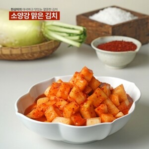 강원도 김치 소양강 맑은 김치 깍두기 500g,3kg,5kg,10kg