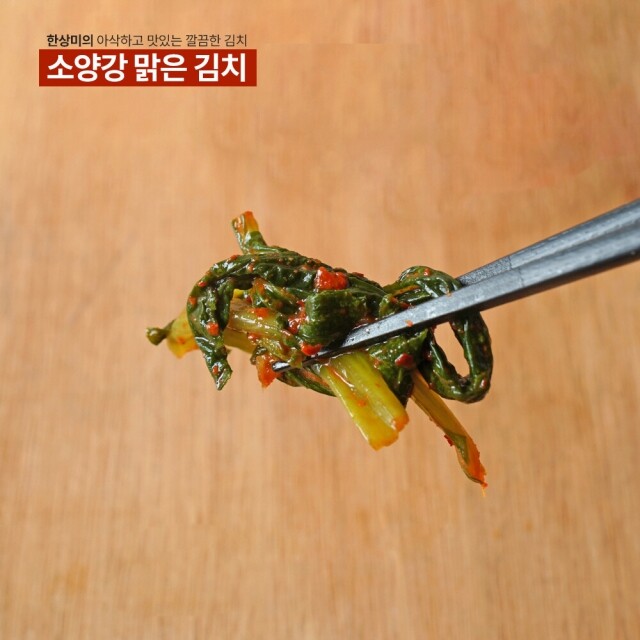 강원더몰,[원더구독] 강원도 김치 소양강 맑은 김치 열무김치 500g,3kg,5kg,10kg