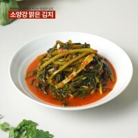 [원더구독] 강원도 김치 소양강 맑은 김치 열무김치 500g,3kg,5kg,10kg
