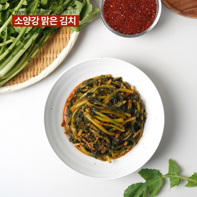 윤서식품,[원더구독] 강원도 김치 소양강 맑은 김치 열무김치 500g,3kg,5kg,10kg