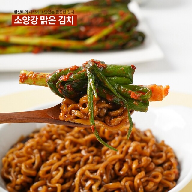 윤서식품,[소양강 맑은 김치] 국내산 쪽파 파김치 500g 1kg 2kg 보통맛 매운맛